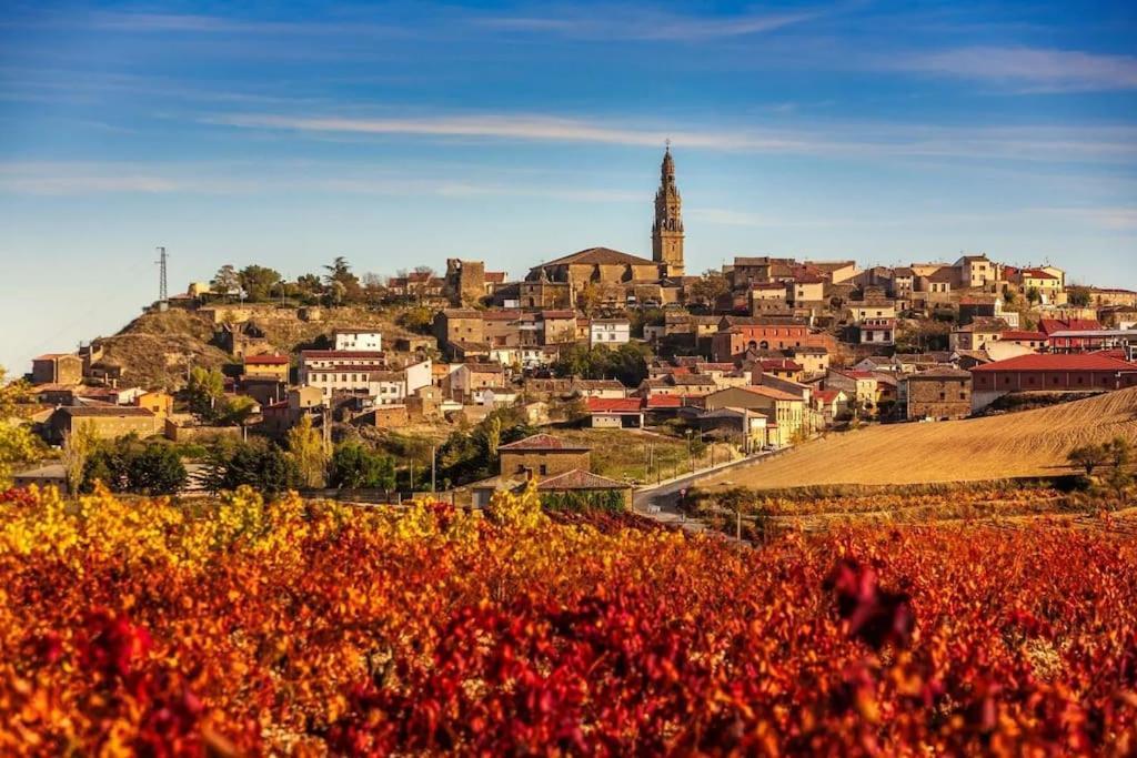 فيلا Chalet Entero En La Rioja بريونس المظهر الخارجي الصورة